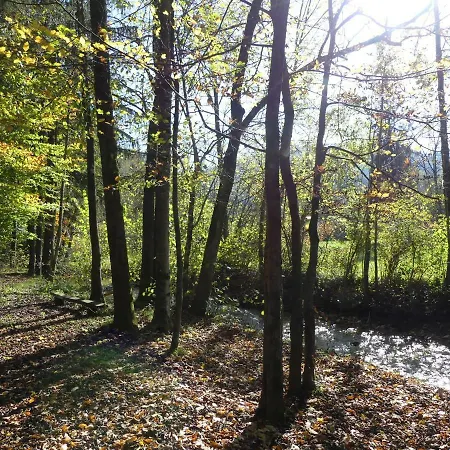 Pred Peklom Kemping Borovnica