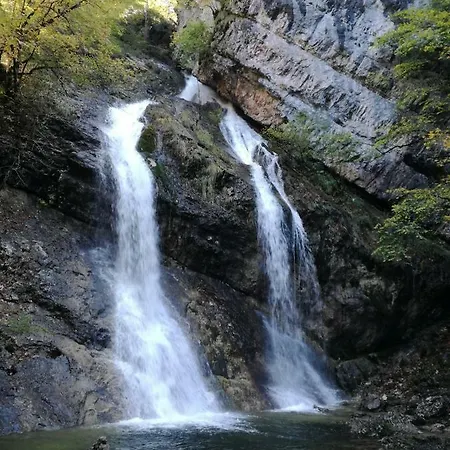 Pred Peklom Borovnica
